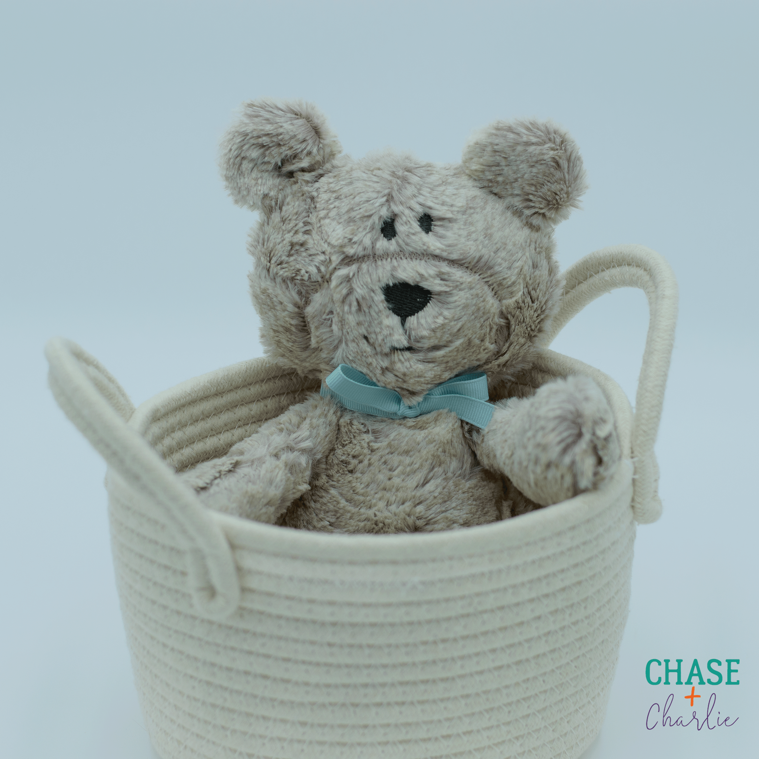 Minky teddy bear store